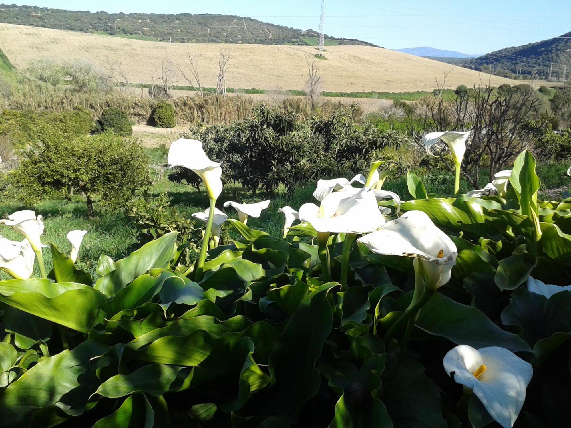 וחר דה לה פרונטרה Casa Rural El Cubillo מראה חיצוני תמונה